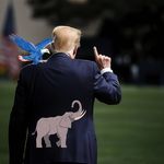 Don Bhai Wapas Hamesha ke Liye - Vandemataram Srinivas Song Download